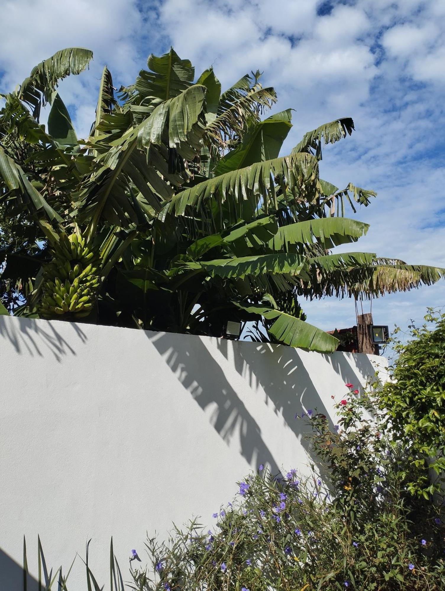 Brisas Iguazu Apartment ปูแอร์โตอีกวาซู ภายนอก รูปภาพ